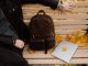 Apa itu mini backpack dan perbedaannya dengan ransel biasa